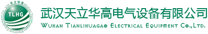這是關(guān)于武漢天立華高電氣設(shè)備有限公司的logo圖片，歡迎大家來(lái)公司網(wǎng)站！